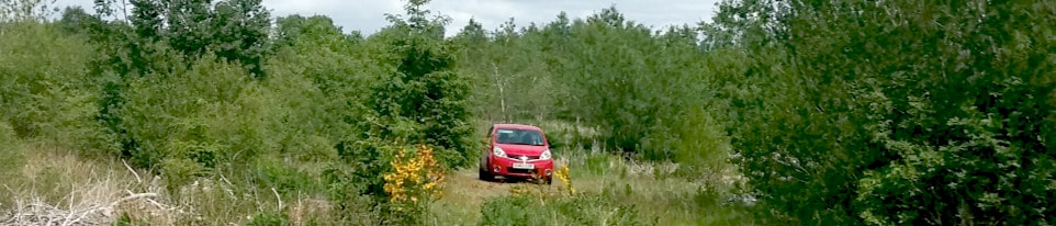 Summer photo of red car parked on woodland access track surrounded by trees.